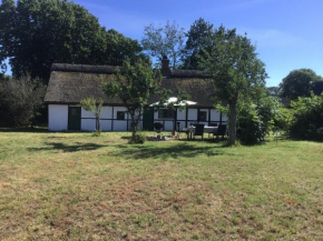 Cottage House in Anholt